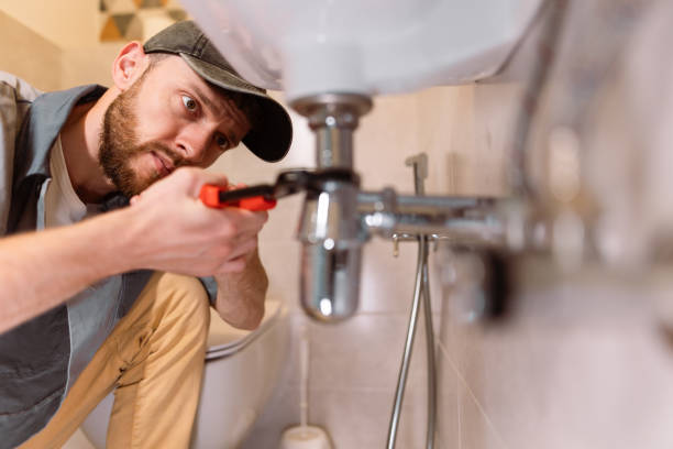 Best Commercial Plumbing Services  in Forest Park, IL